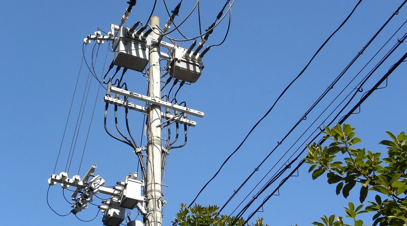 전선 학습의 실무 적용