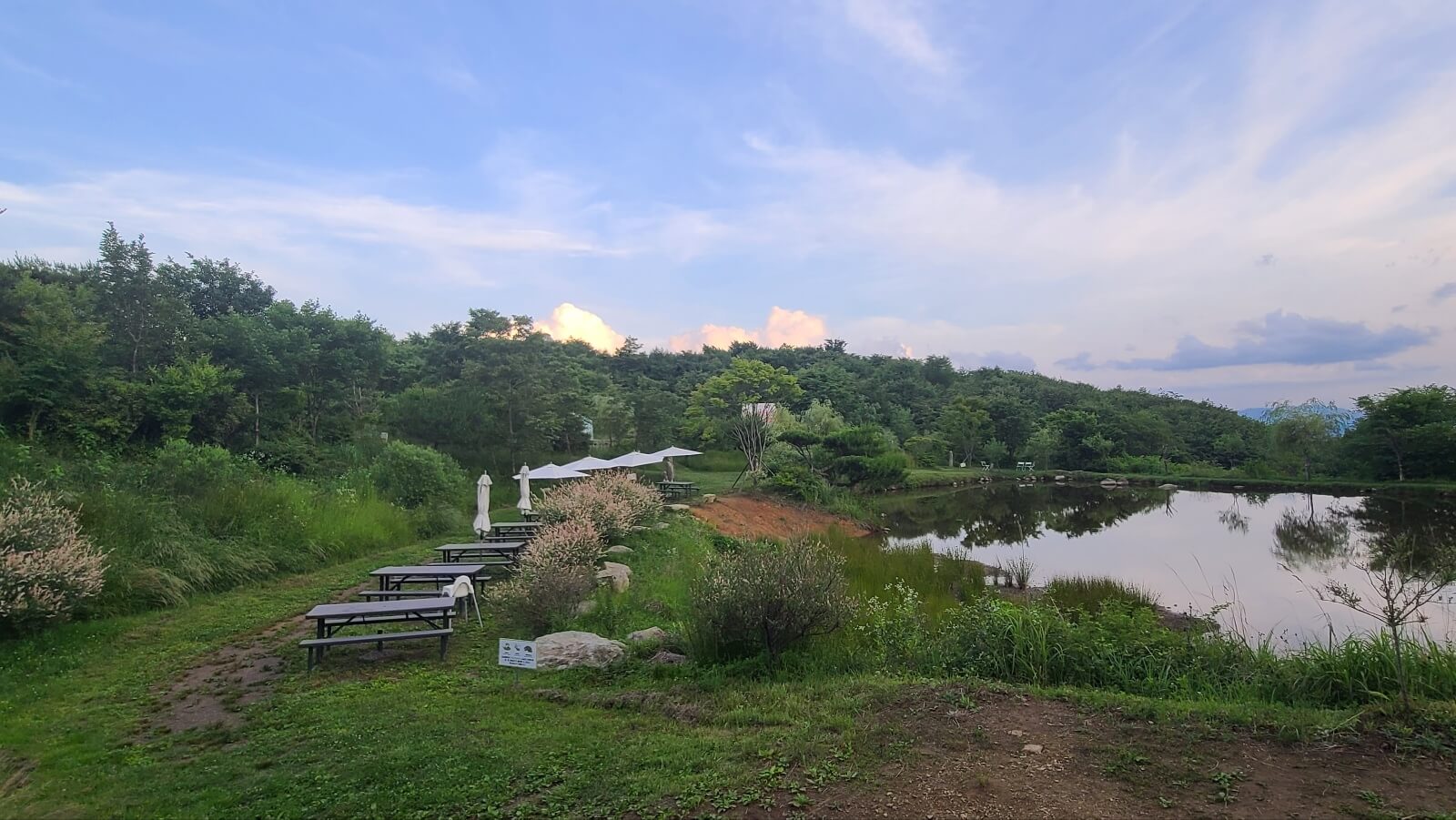 목장7