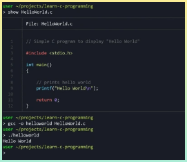 C언어에서 테스트하고 있는 Hello, World 테스트 코드 캡처 화면