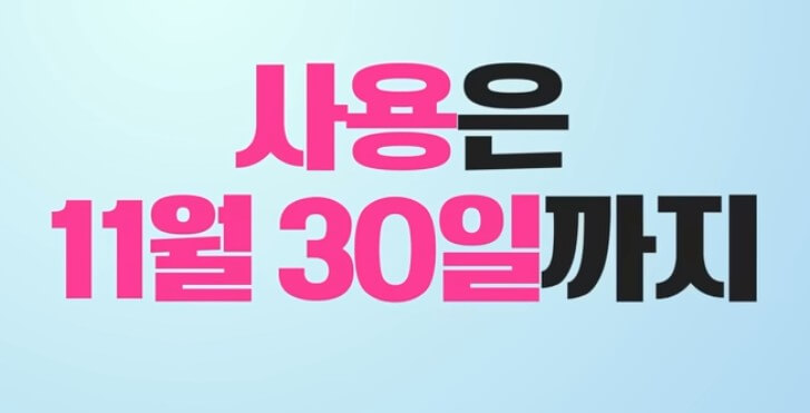 소비쿠폰 사용기한