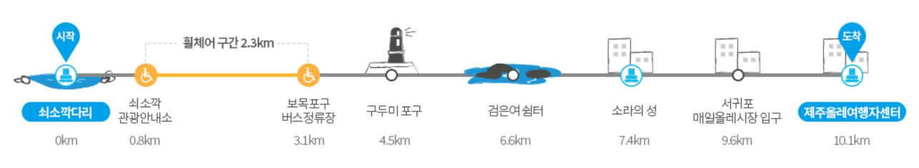 초보자도 쉽게 도전! 걷기 좋은 올레길 BEST 5 🌿
