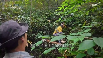 &amp;#39;나는 자연인이다&amp;#39;