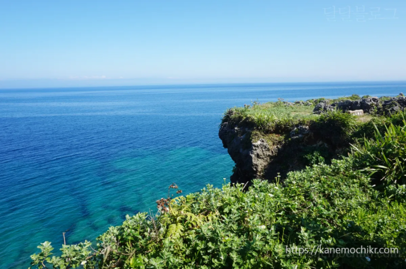 오키나와-만좌모