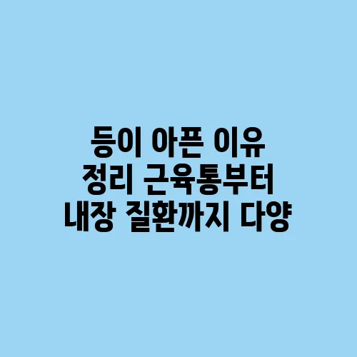 등이 아픈 이유 정리 근육통부터 내장 질환까지 다양