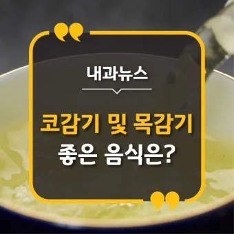 감기에 좋은 음식 5가지 자연에서 찾은 면역력 보약 건강식품_23