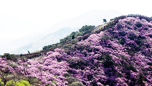 강화도 가볼만한곳 베스트10