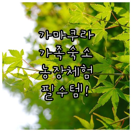 가마쿠라역 근처 가족 숙소 베스트 5..