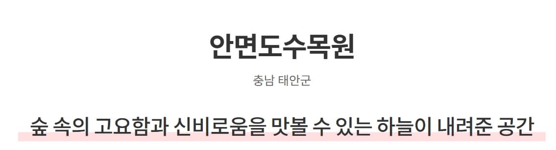 충남 태안 봄 여행지 BEST 3｜천리포수목원 목련(봄꽃)축제 주변 여행지