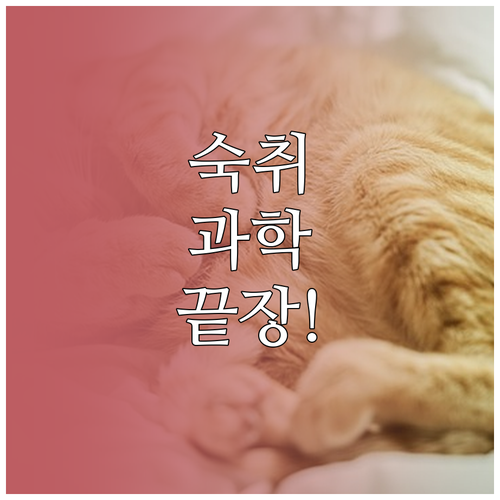과음 후 업무 복귀를 위한 숙취 과학..