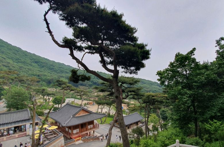보문사 