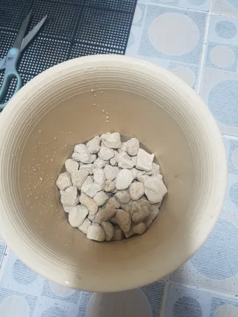 난석 배수층 만들기 뿌리썩음예방 흙배합 물주기간격 조절_14