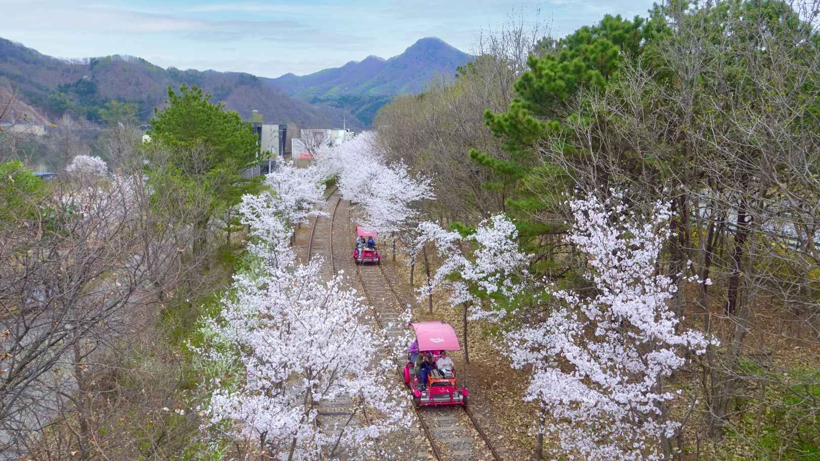 강촌레일파크