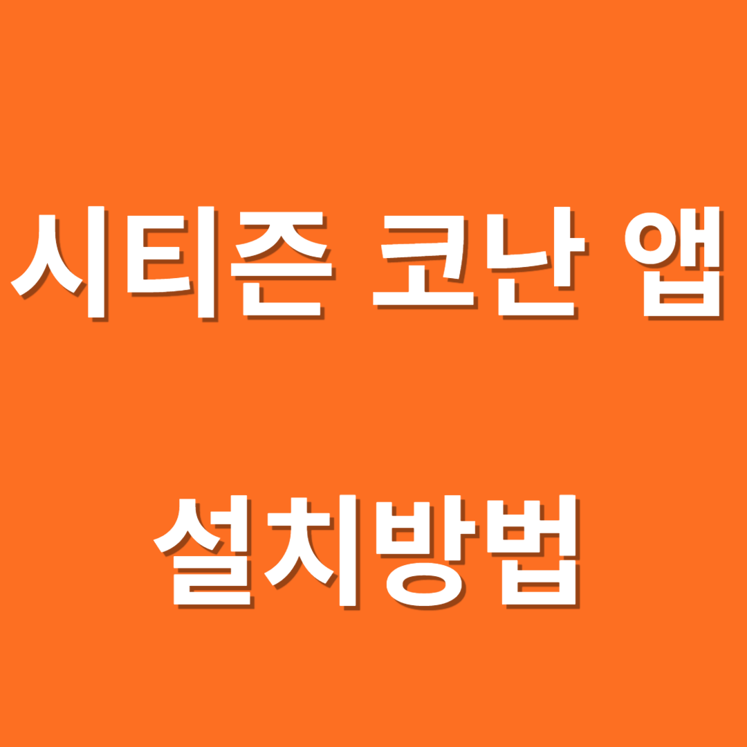시티즌 코난 앱 피싱아이즈 보이스피싱
