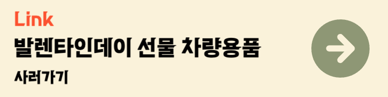 발렌타인데이 남편 남친 선물 추천 차량용품 차량용액세서리 방향제 디퓨져 무선청소기