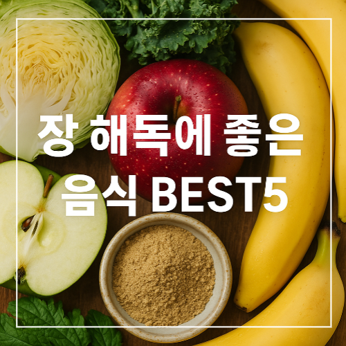 장 해독에 좋은 음식 BEST5 썸네일 이미지