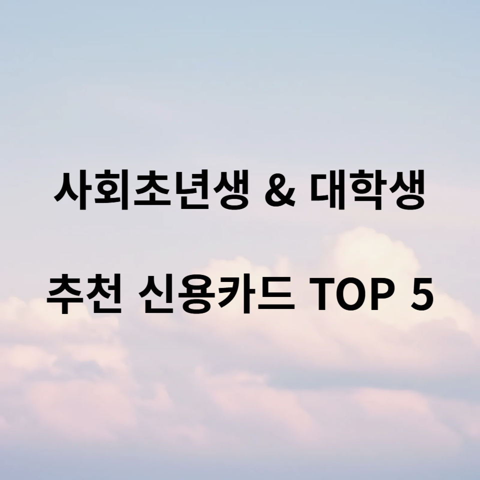 사회초년생 대학생 추천 신용카드
