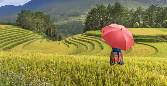 전라북도 귀농귀촌 교육관 - 고창, 완주, 정읍, 순창