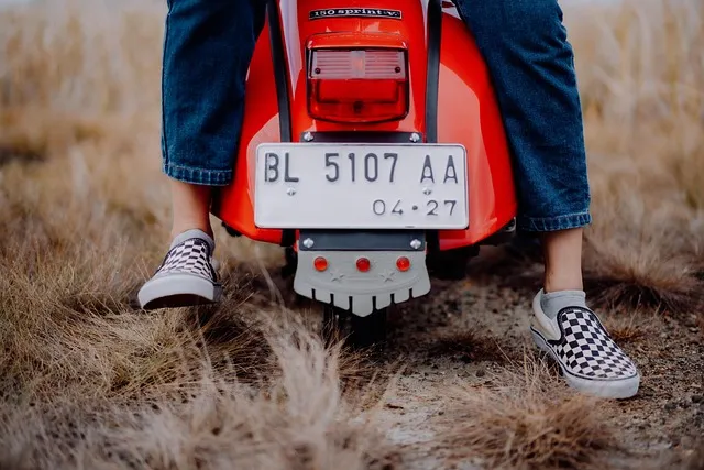 능이버섯 채취시기 산행 정보를 정리_3