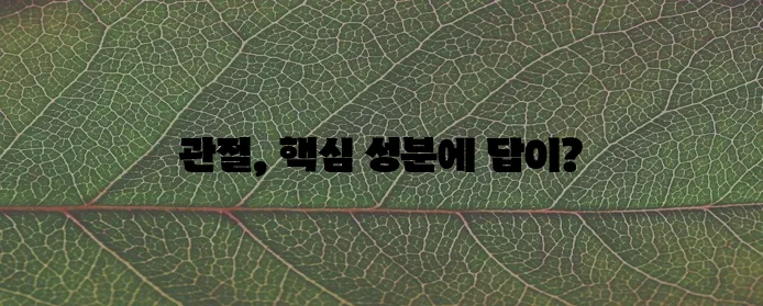 다음 중 하나를 선택해 보세요.

*   관절보궁 핵심 성분, 정말 중요하겠죠!
*   관!