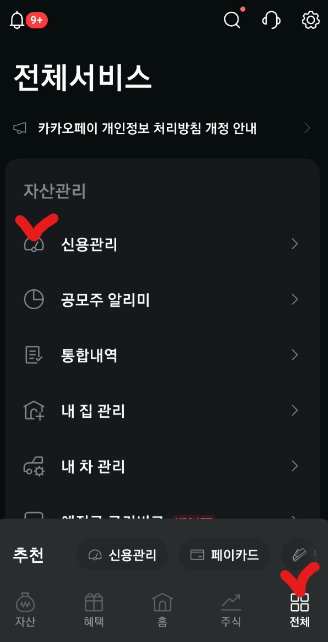 카카오페이 신용관리 메뉴 사진