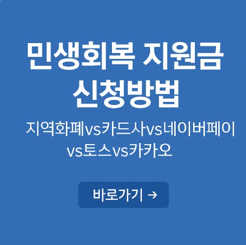 민생회복 지원금 신청방법 지역화폐/카드사/네이버페이/토스/카카오 비교