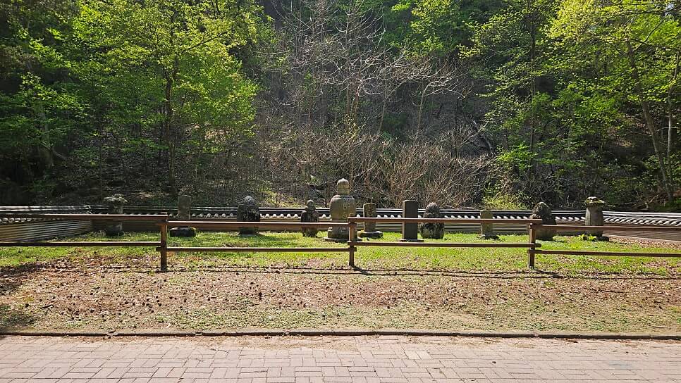 원주 구룡사 : 아홉 용의 전설과 황장목 숲길이 주는 휴식