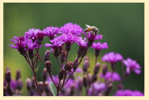 9월 6일 생명의삶 묵상 : 느헤미야 4:1~14 두려움과 믿음의 주체