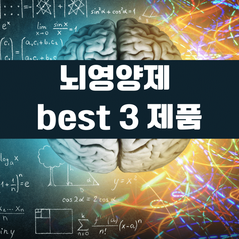 뇌영양제추천