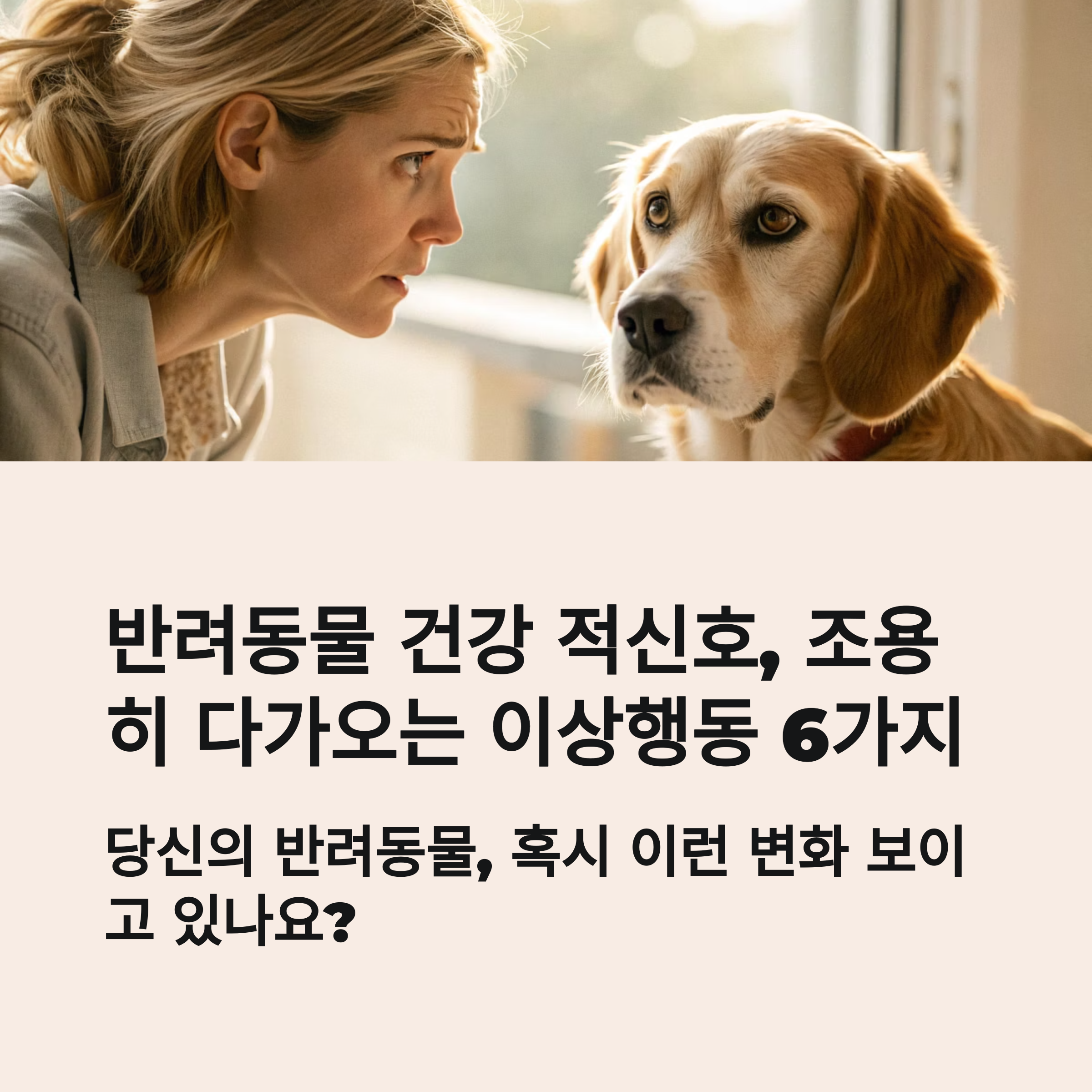 반려동물 건강