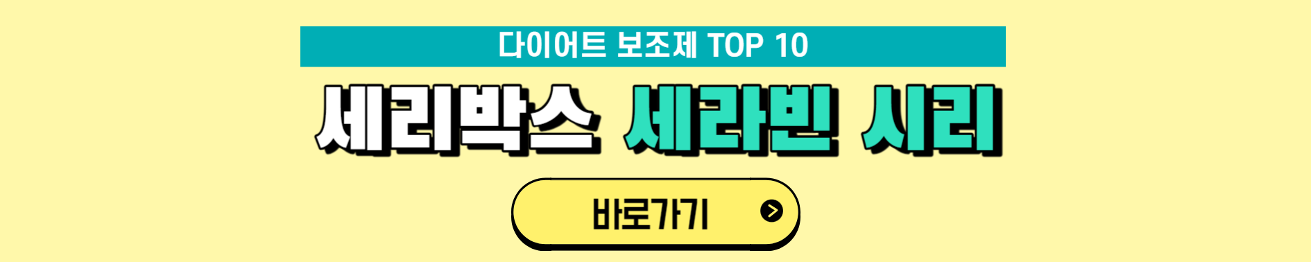 다이어트 보조제 순위 TOP 10