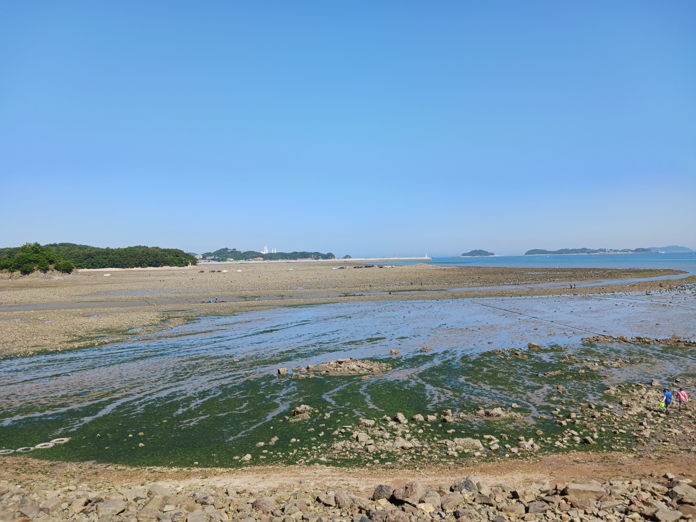 마섬포구