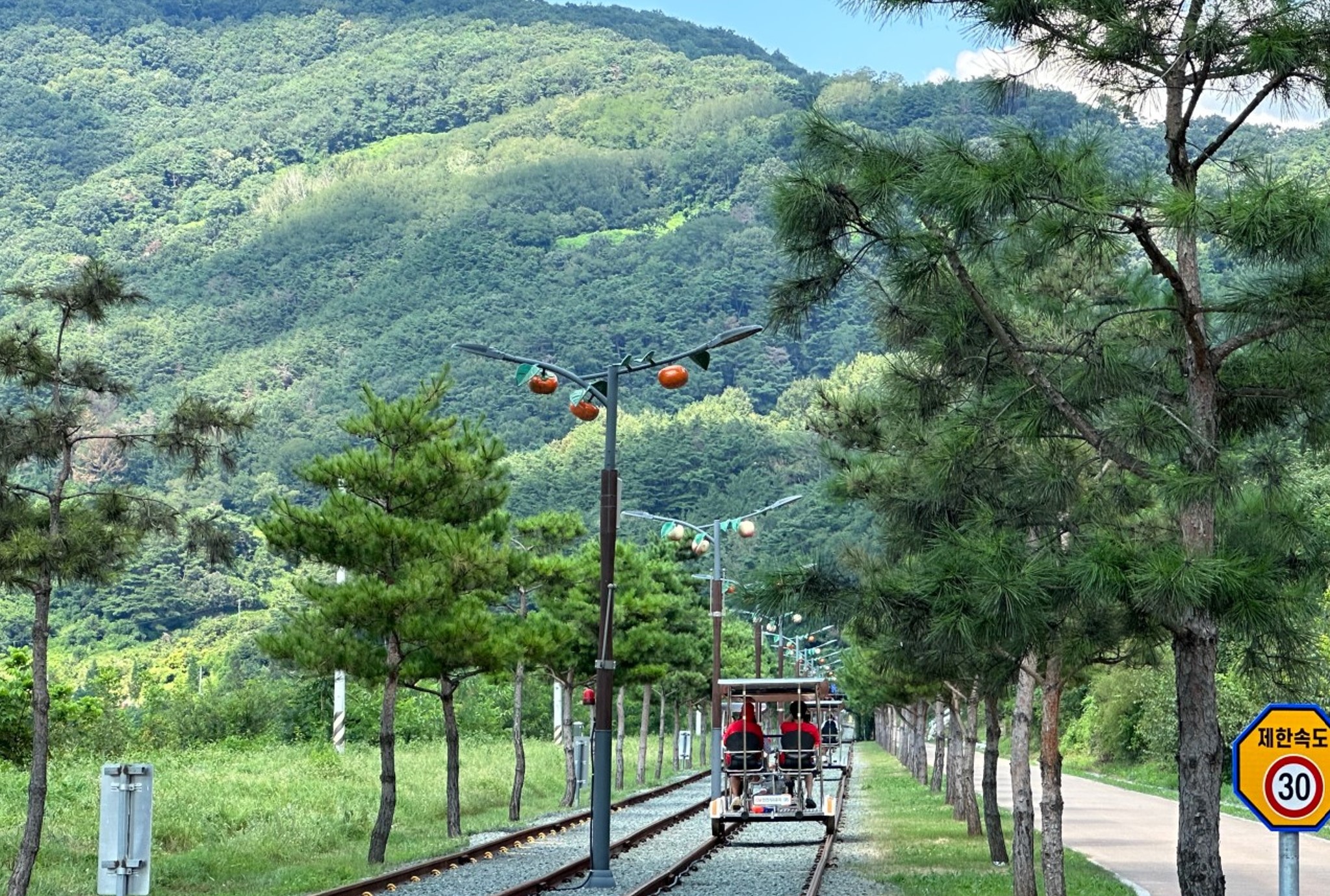 청도레일바이크