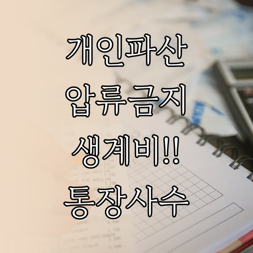 개인파산 시 압류 금지 생계비 기준과..