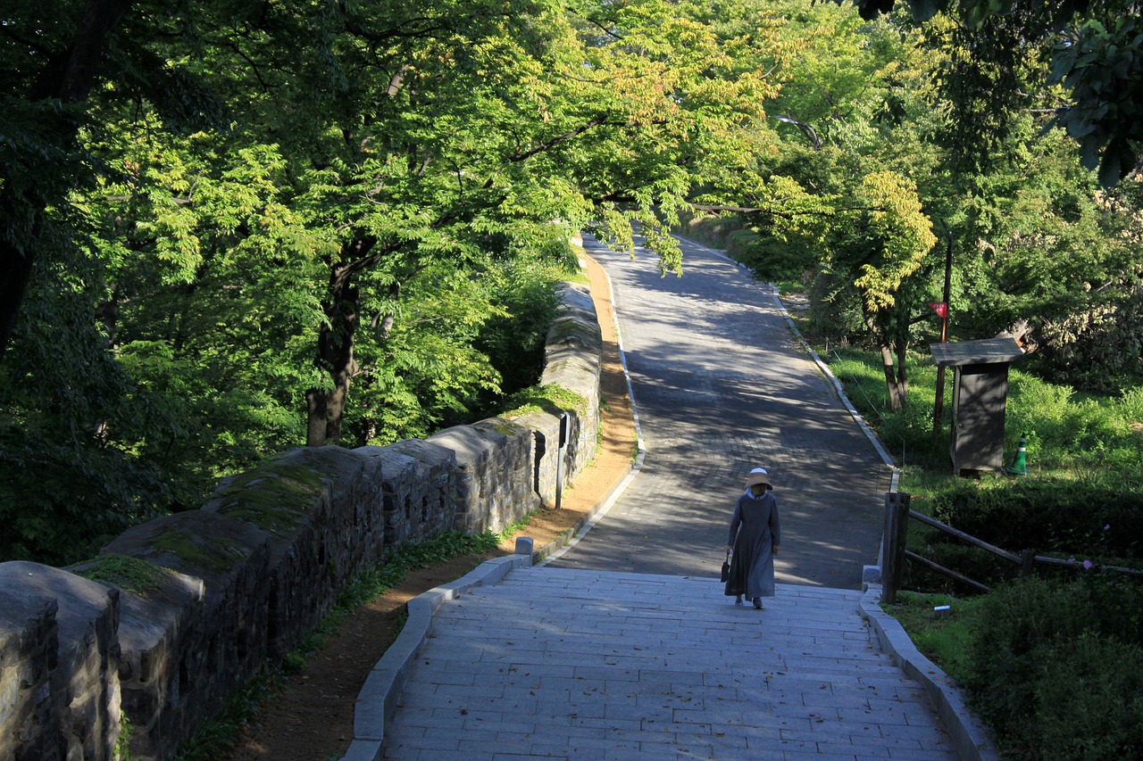 테마별 국내 여행 (역사, 문화, 자연)