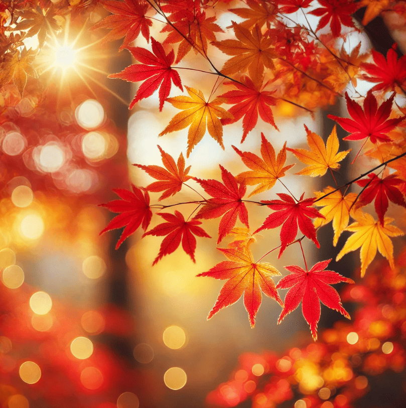 화담숲 가는 길 완벽 가이드 2025: 교통편부터 주차까지 한 번에 정리