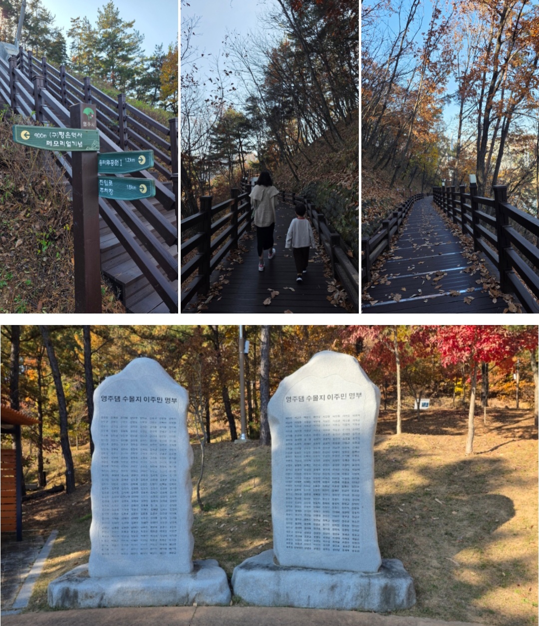 영주호 용마루2공원 가을 산책 후기