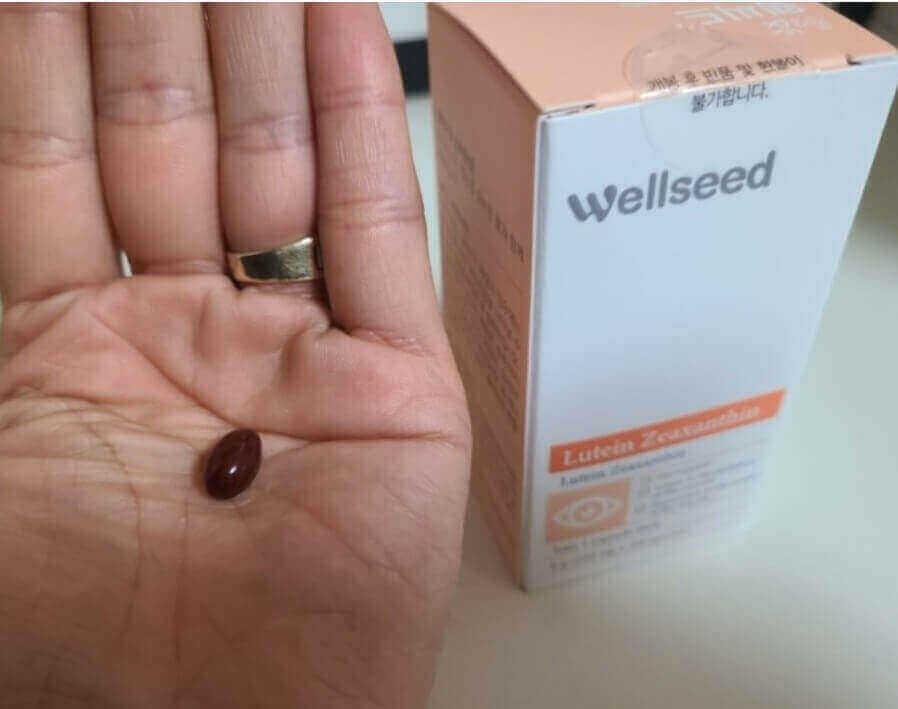 루테인지아잔틴 주요성분