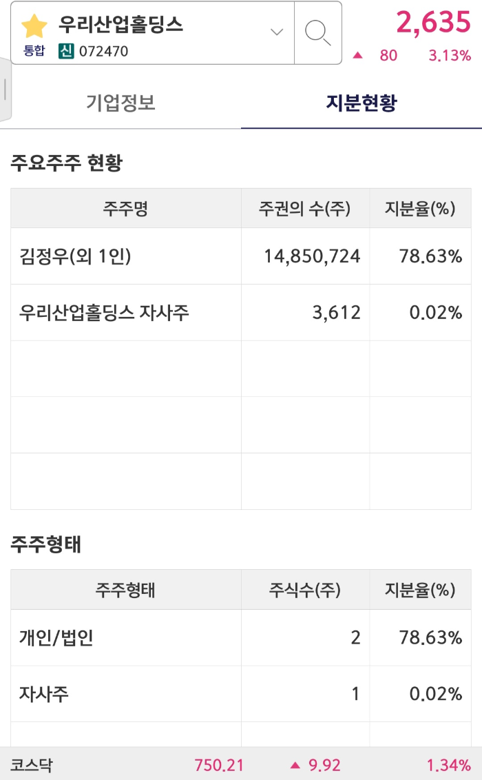 우리산업홀딩스-재무분석