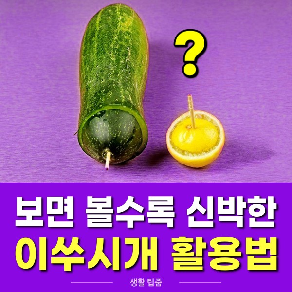 이쑤시개 활용법 채소 보관법