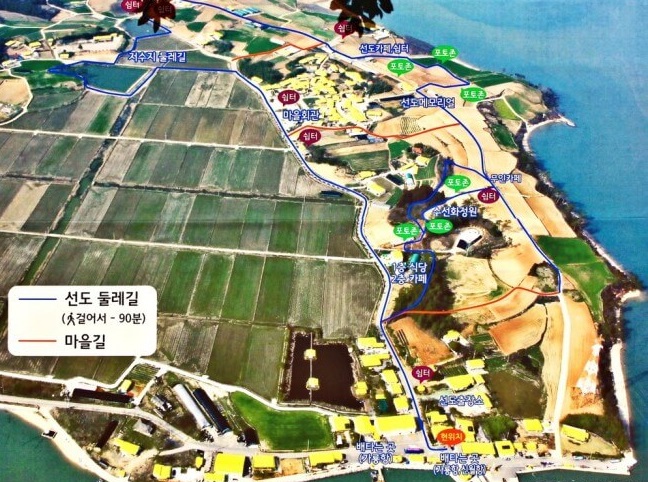 2025년선도수선화축제사진