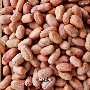 비타민B3가 많은 식품