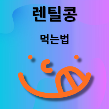 렌틸콩 먹는법