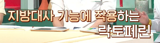 락토페린 효능