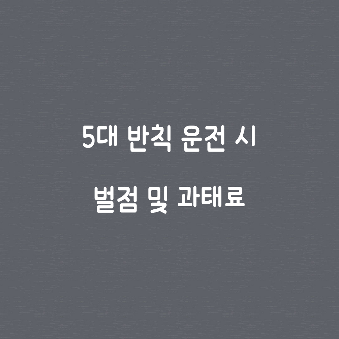 5대 반칙 운전 시 벌점 썸네일