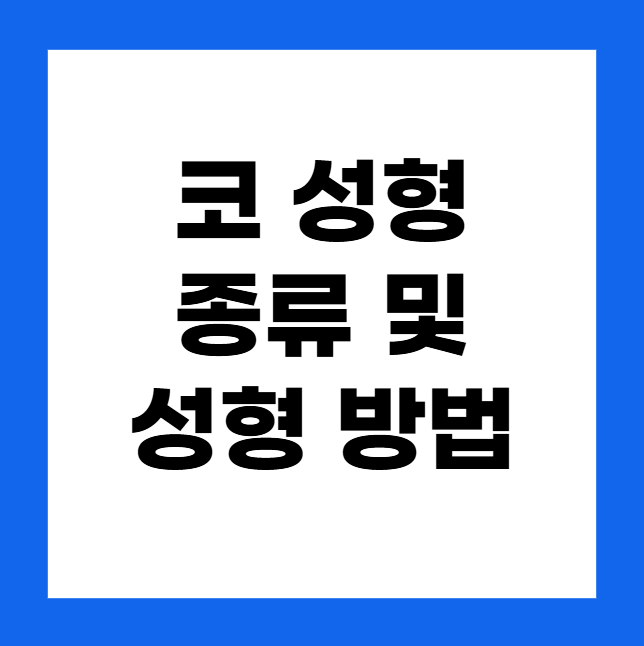 코 성형 수술의 종류 및 성형 방법