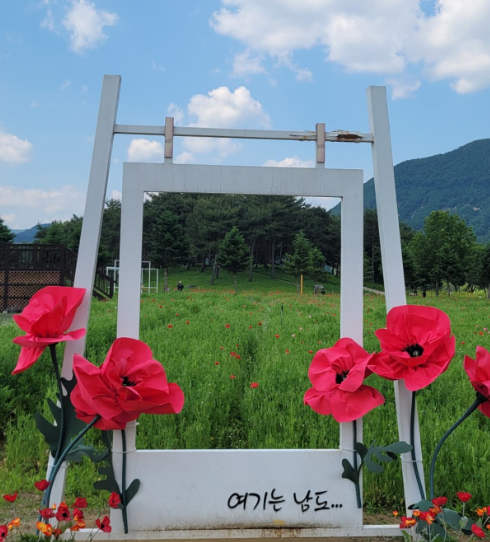 자라섬 꽃 페스타