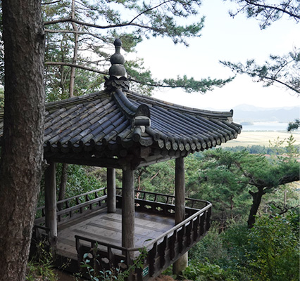 6시 내고향 강진맛집 석문정