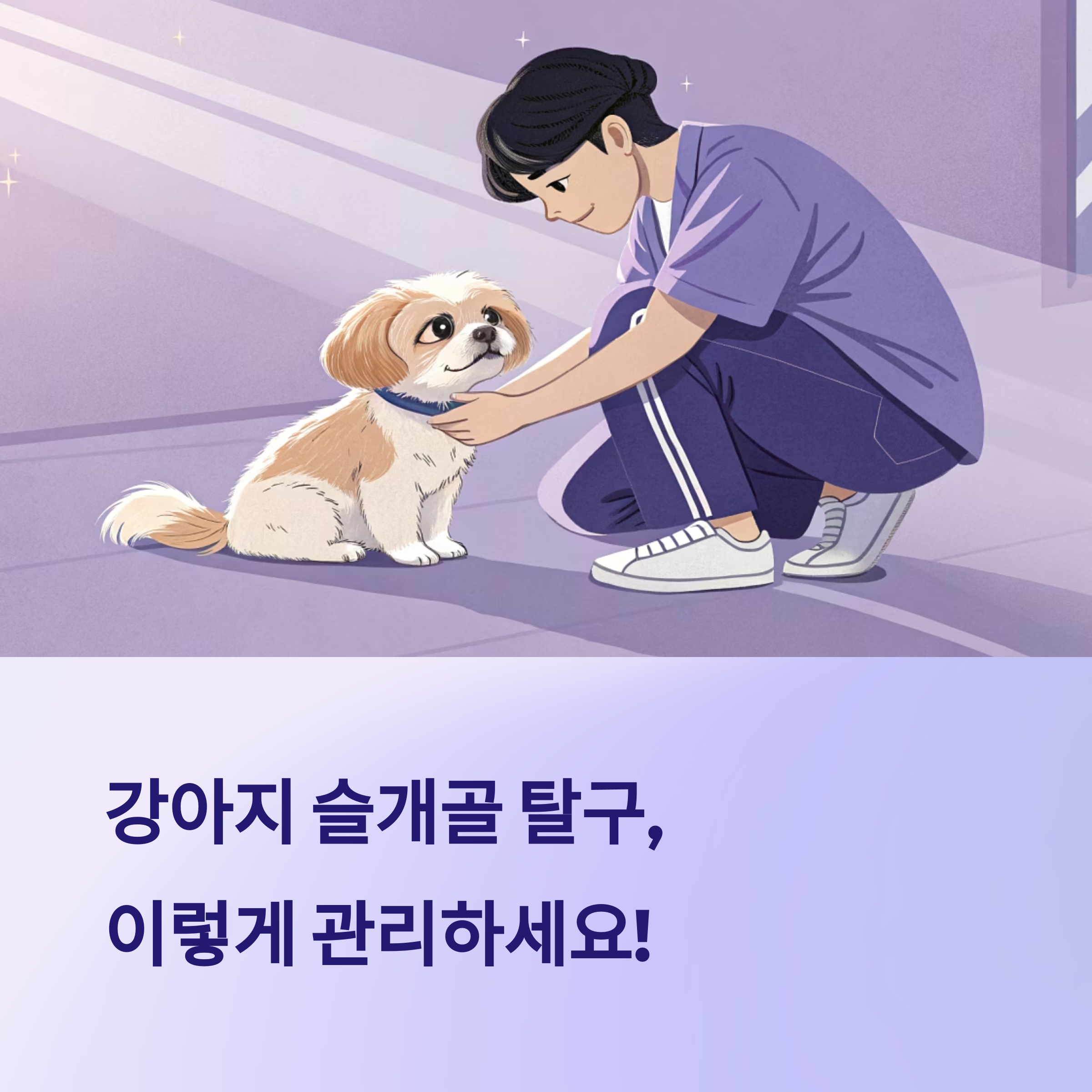 강아지 슬개골 걱정 줄이는 운동과 식단 관리법