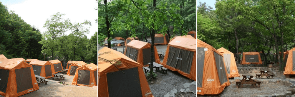 서울대공원 캠핑장 이미지