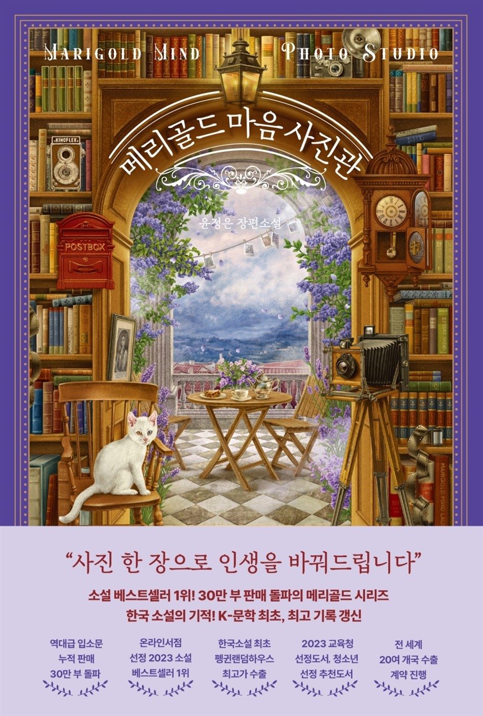 메리골드-마음-사진관